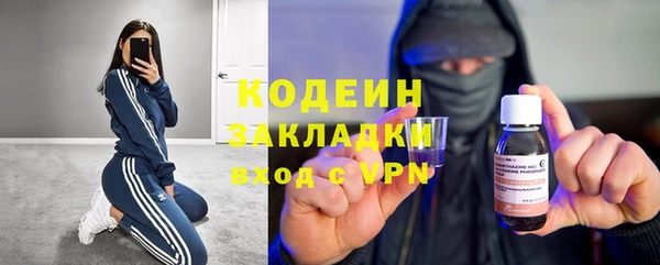 гидра Осинники