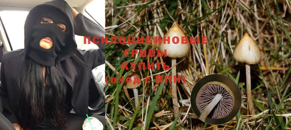 MDMA Premium VHQ Нязепетровск