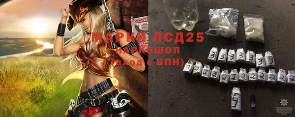 гидра Осинники