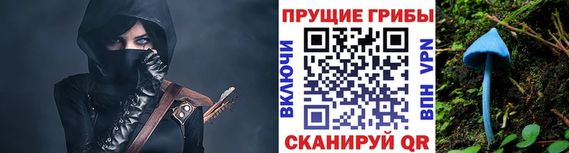 Псилоцибиновые грибы Psilocybine cubensis Никольское