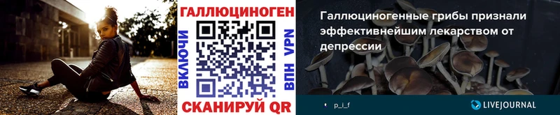 Псилоцибиновые грибы Psilocybe Никольское